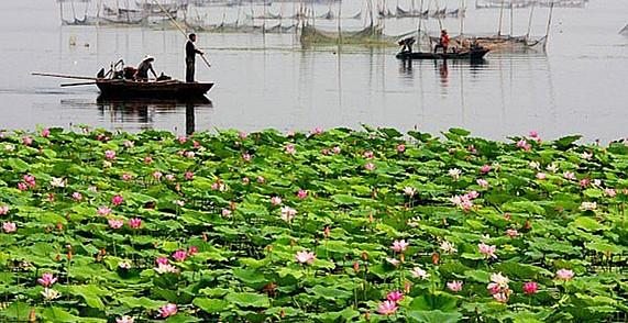 微山湖|6月1日起,微山湖旅游区免费开放