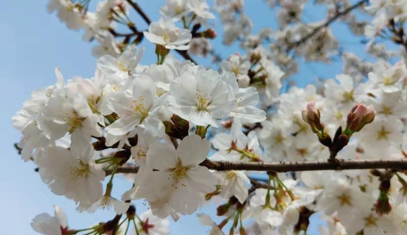 |被辞退前的十大征兆