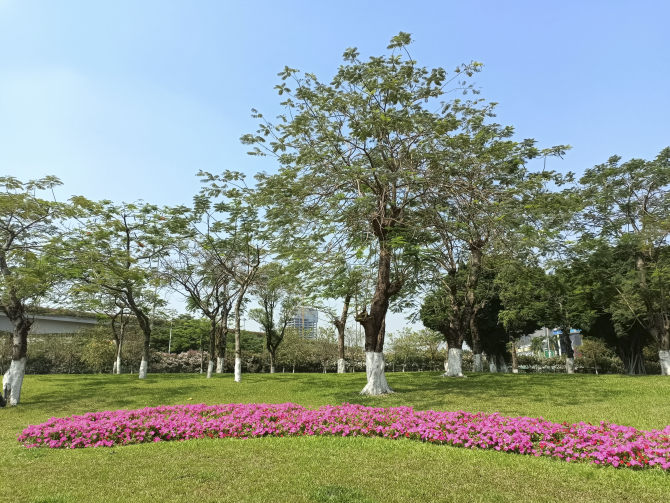 摄像头|realme 真我Q3 Pro测评:优良的性能