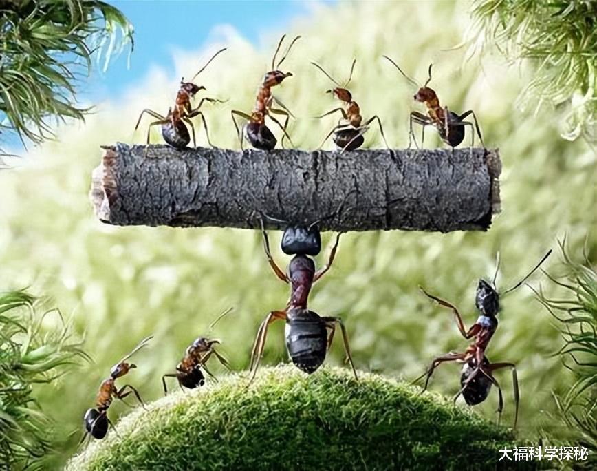 霍金列举5种外星人样子,大多比我们低级,而应害怕外星超级文明