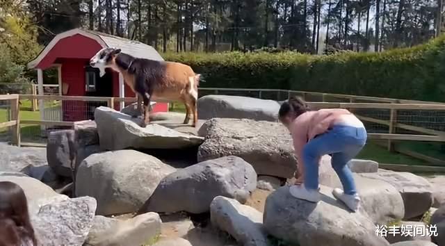 谢婷婷|谢婷婷公开3岁女儿近照！现身动物园与家禽玩耍，老公身份仍成谜