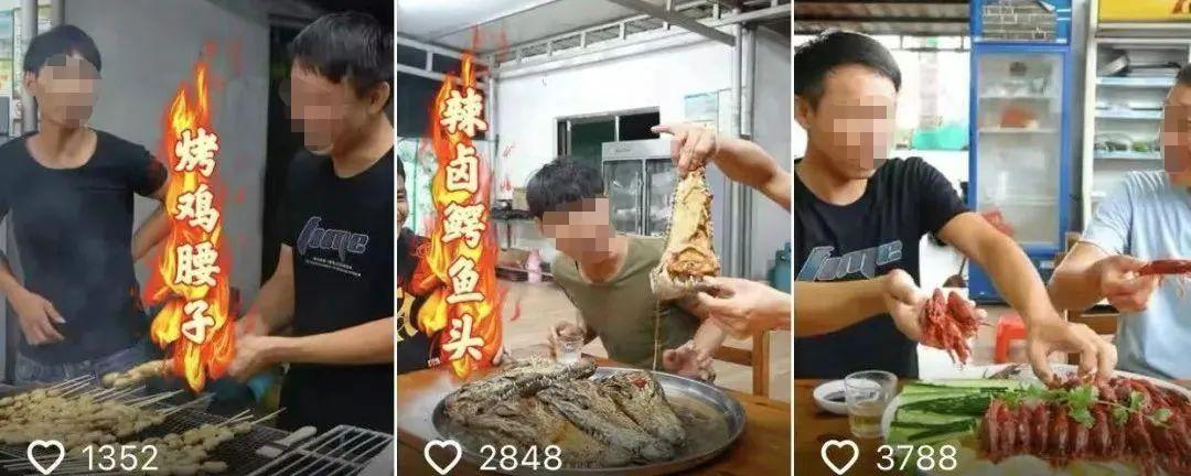 这网红的愚蠢,被流量放大了一万倍