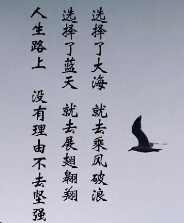 小飞侠熙熙 哭过之后,选择继续坚强!