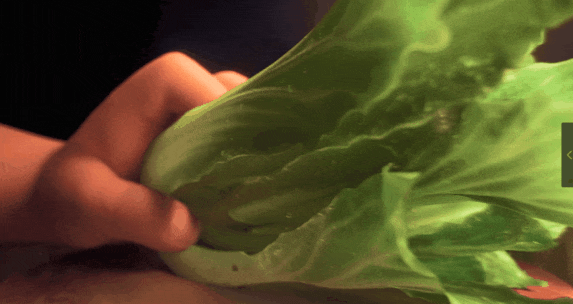 巴图|皮克斯拍中国人，可爱炸了