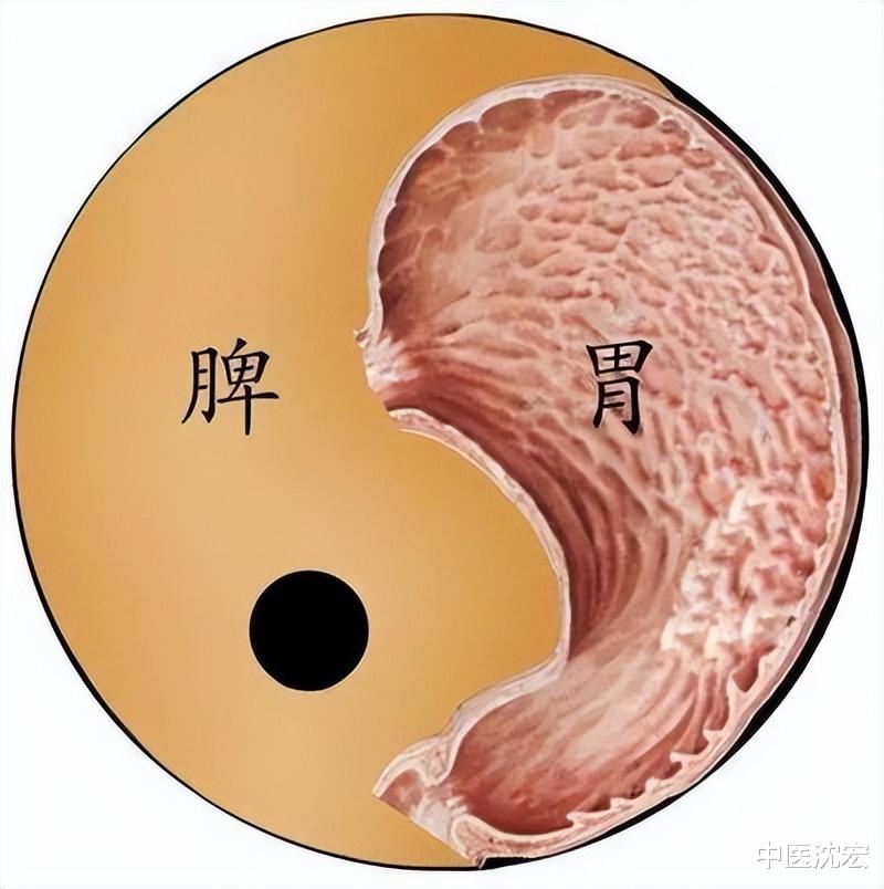 |补气、健脾、化湿祛痰的6个经典中成药，补虚健体，让你元气满满