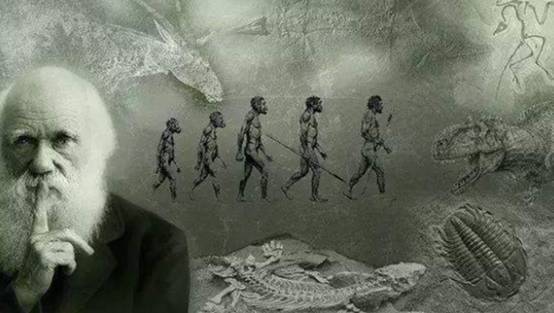 3.8亿年前,人类的祖先爬上了岸,我们的中耳是鱼鳃进化的?