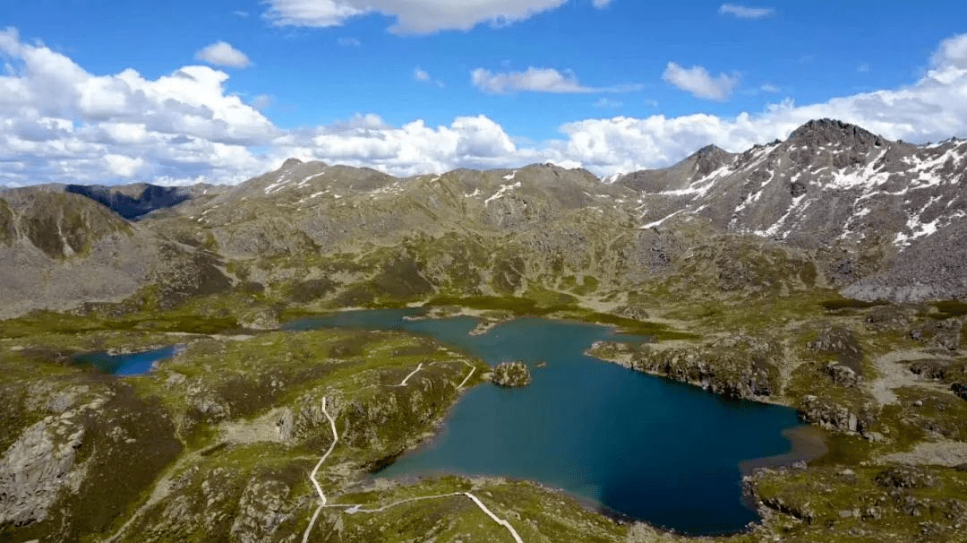 高原|5月26日开园！！俄么塘花海，已经开始美了！