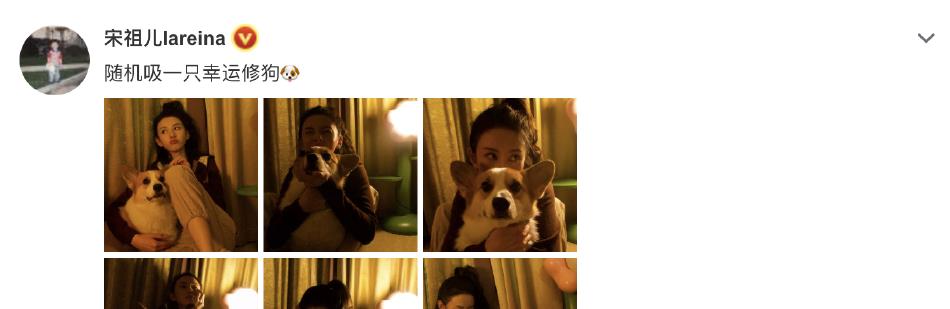 宋祖儿|宋祖儿晒与爱犬合影，呆萌又可爱，少女感十足