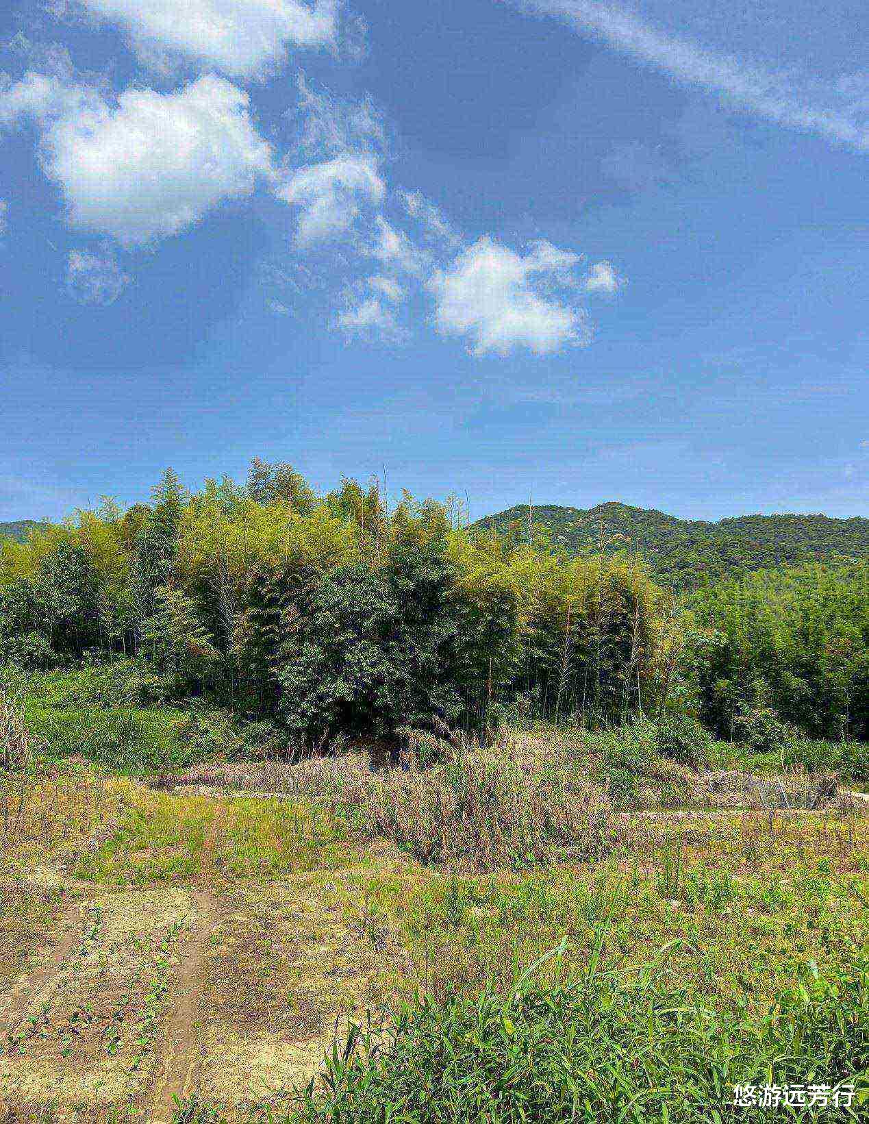 |从化｜胜过阿婆六的鱼洞村