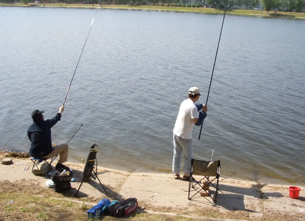 饵料|夏至过,鱼情变!掌握这些“套路”,让你少走弯路,连竿爆护