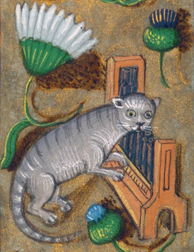 猫鱼,蜗牛鸡?中世纪画里的动物都神马玩意?看得人好上头!