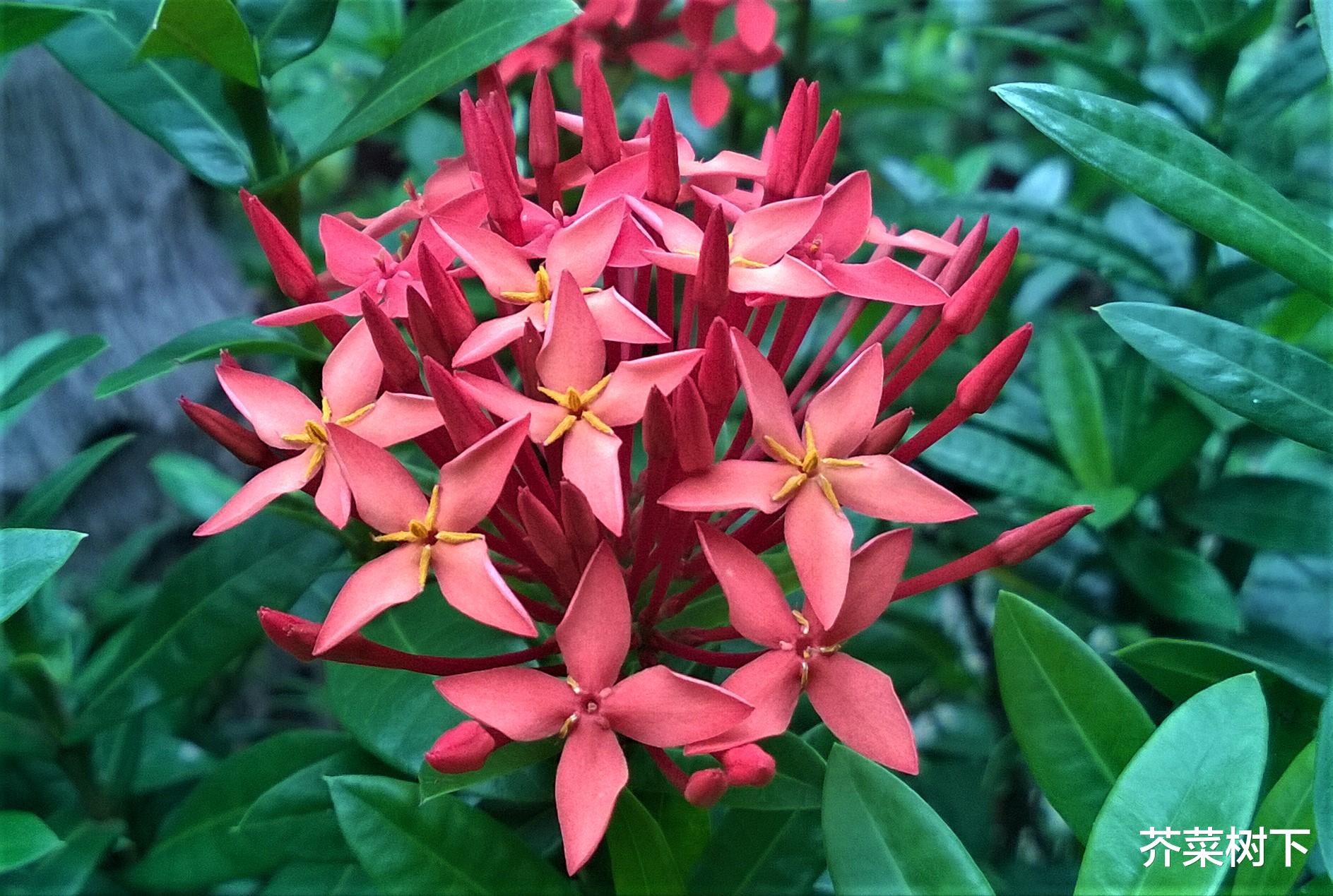 |职场无用功，到底打哪儿来？