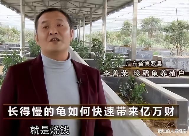 男子花百万买下三只臭龟,别人都笑他傻,谁知道四年后却靠龟翻身