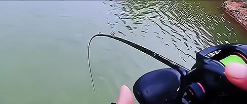 |钓鱼人也害怕？男子钓获一条大鱼，却一点不高兴，网友：赶紧回家