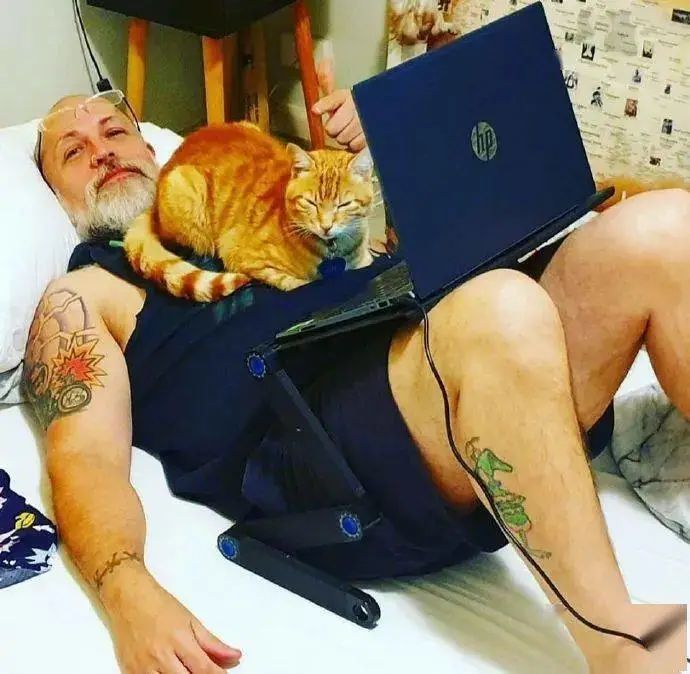 有猫天天陪着睡觉，但男子表示：这不是我的猫！