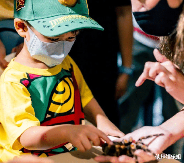 胡杏儿|胡杏儿庆祝二胎儿子满3岁,奕霖和哥哥捉蛇、玩蜘蛛,超勇敢