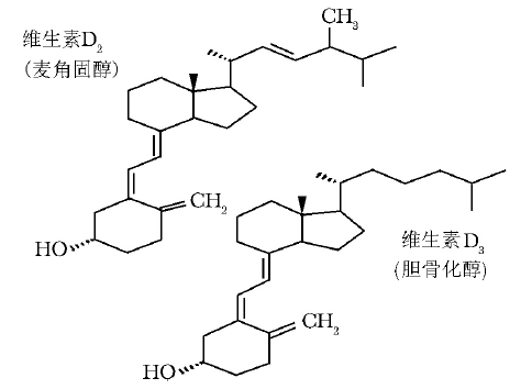 养生|特殊的维生素:“阳光维生素”