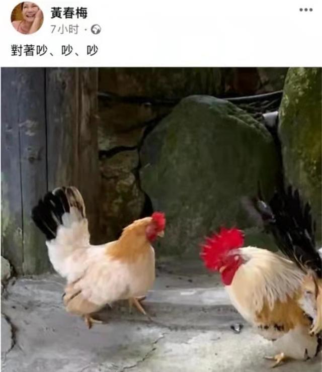 大S|汪小菲和S妈开战?为夺子深夜开骂,S妈怒放话“不要抢我外孙”