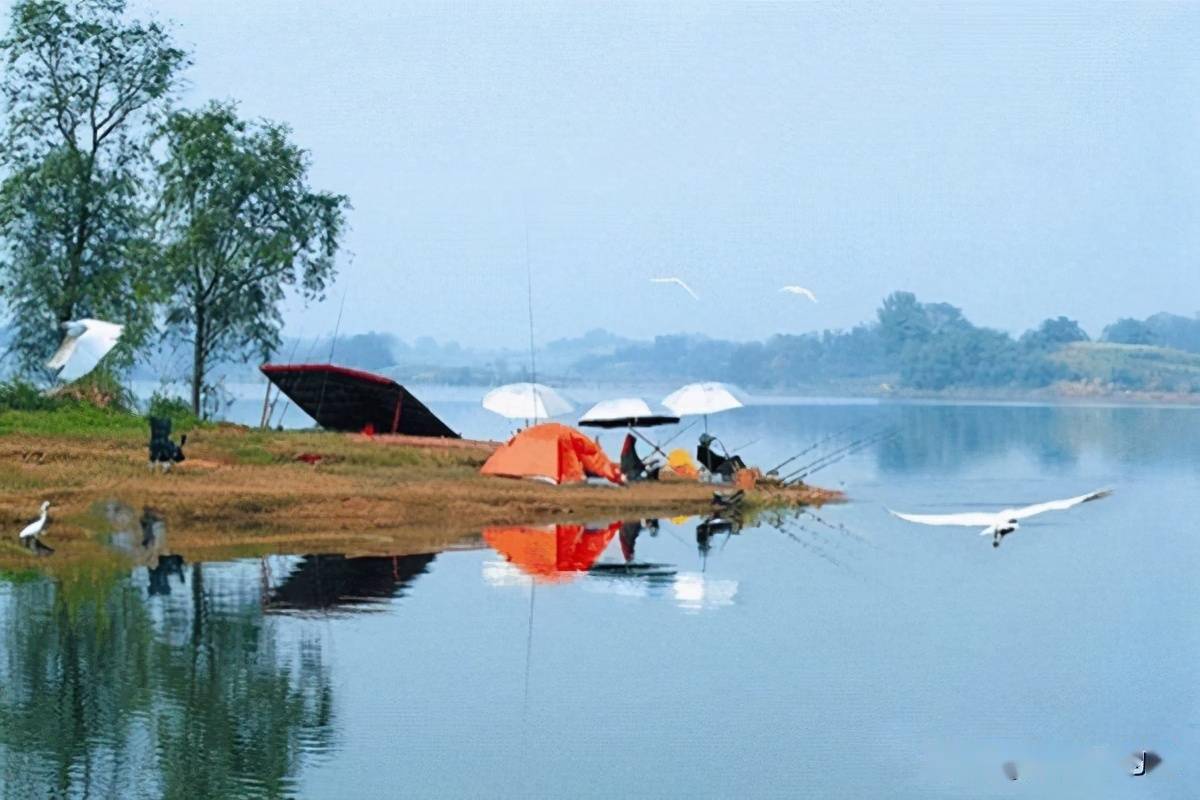 |夏季钓鱼的两款自制饵,节约银子还制作简单,效果也是杠杠的