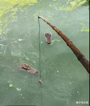 |买东西有记账的习惯，但是在算剩余钱的时候，发现了有一块钱怎么也对不上，这是为什么呢？