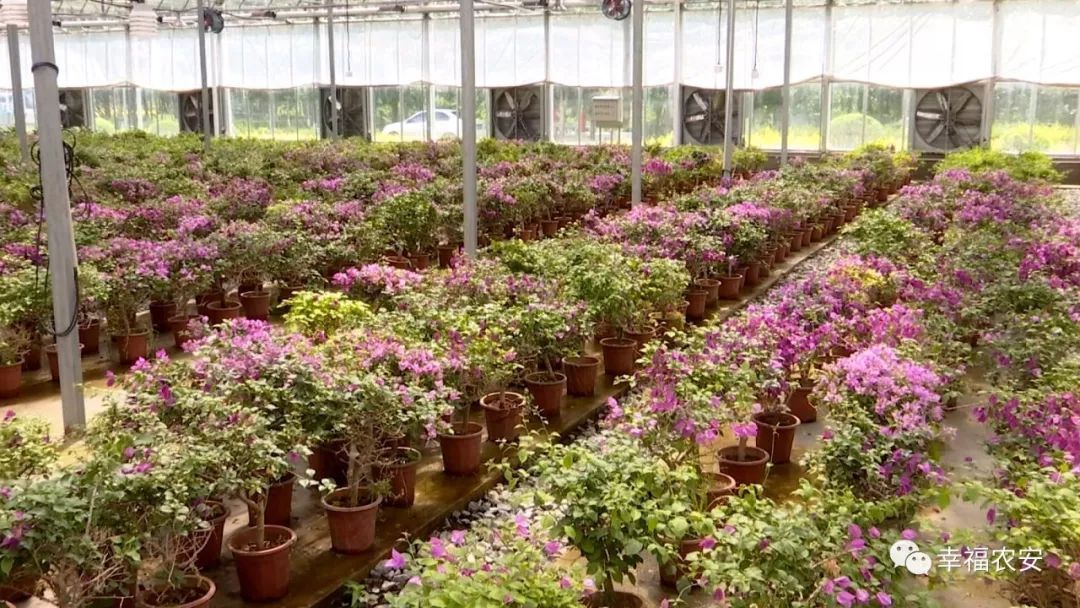 长春|长春人的夏日“后花园”，1个小时即可抵达！