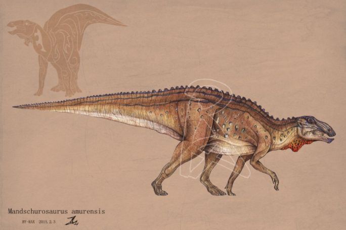 长达19米？新疆发现两恐龙新属新种，盘点5种意义重大的中国恐龙