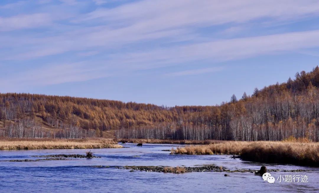 阿尔山|阿尔山的秋天可以有多美?美到醉景,美到来了不想走!