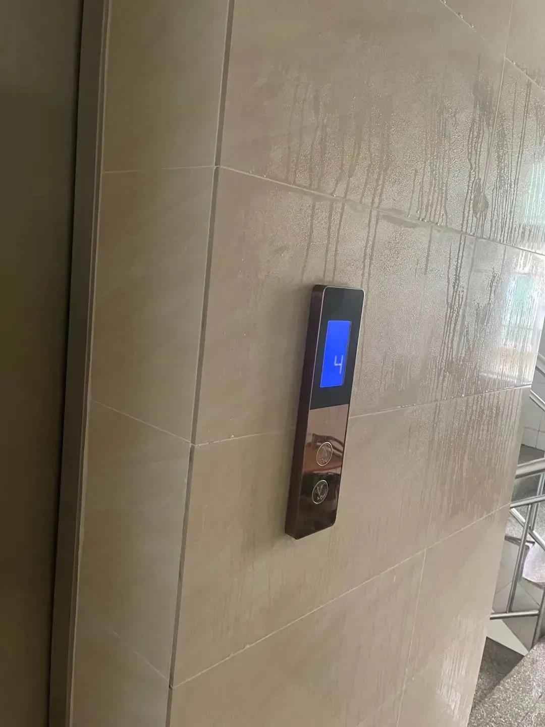 家里潮湿怎样彻底解决?这里有三个实用方法,任选其一轻松解决