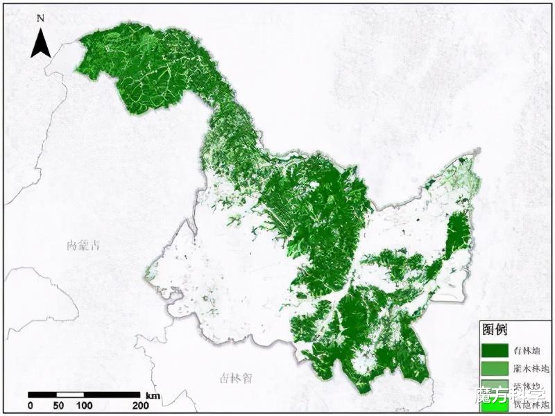 完达山一号回来了?黑龙江饶河又现东北虎!攻击力多强、伤人咋办