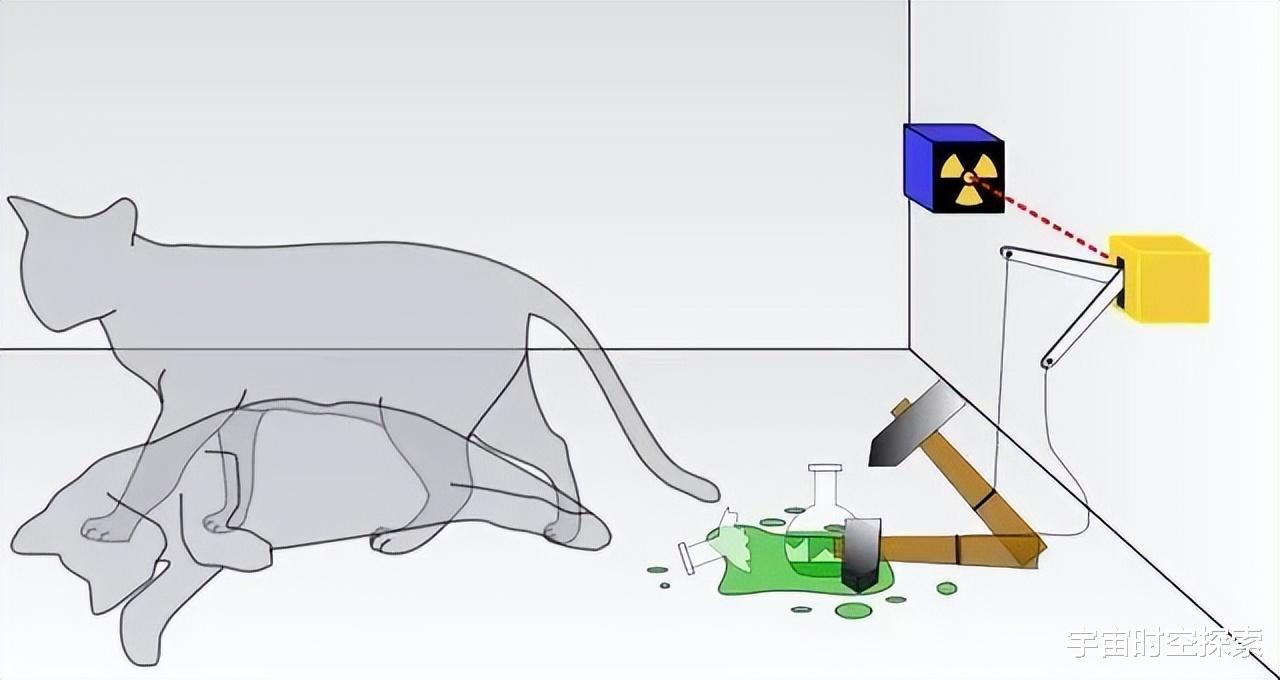 解读“薛定谔的猫”,真的存在“既死又活”的猫吗?