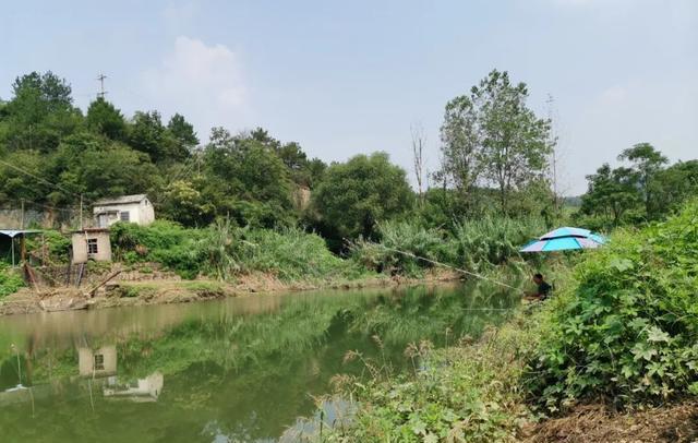 饵料|钓鱼资源好是种什么体验？有人没经历过，说出来你可能还不信！