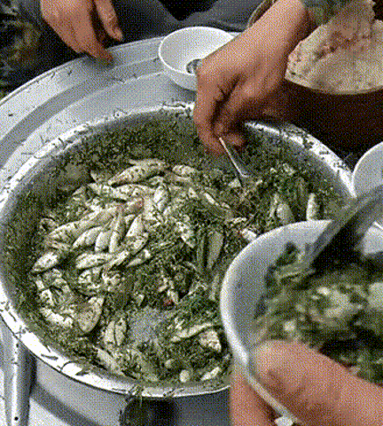 |瞠目结舌,鲜活小鲫鱼撒点绿菜生着吃,一问才知是越南人