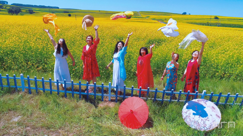 祁连山|塞外平鲁：油菜花开遍地金