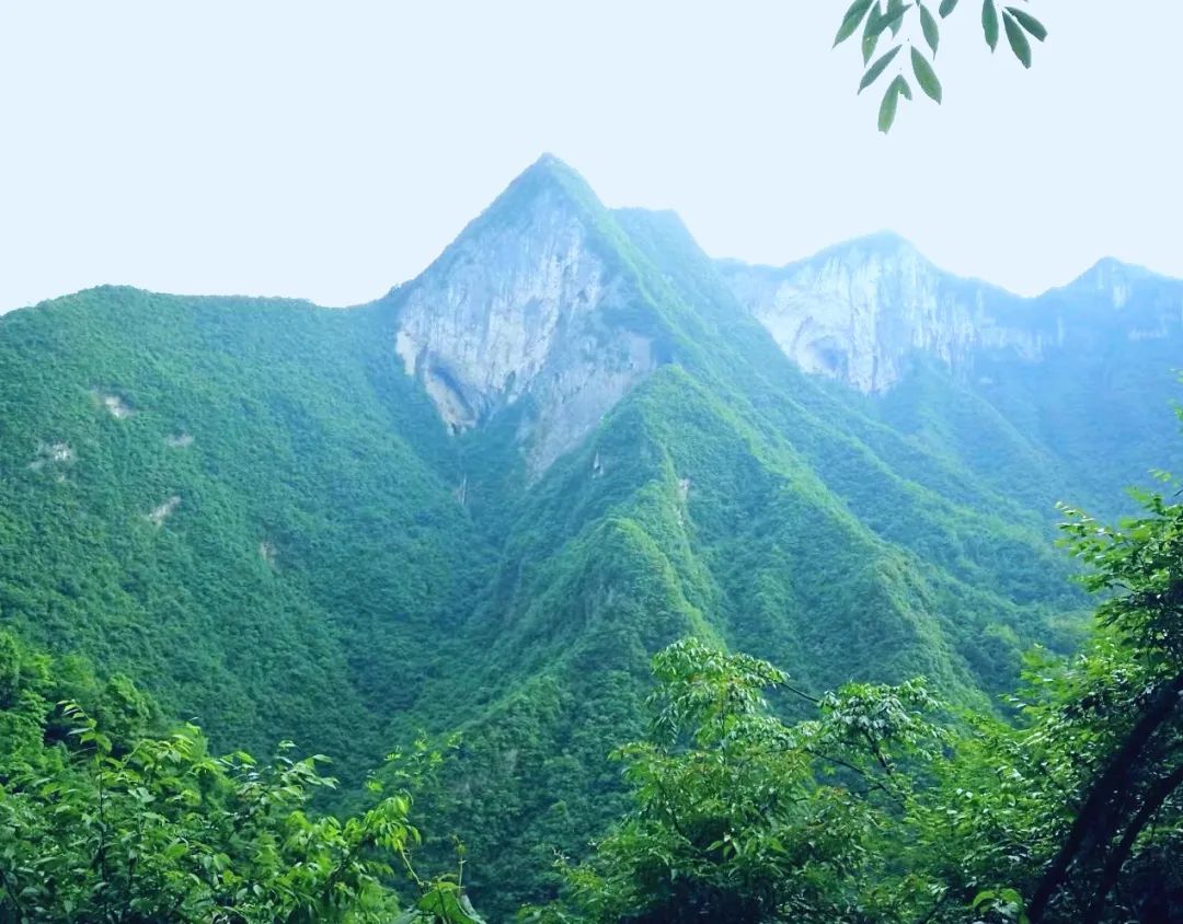 沙滩|恩施州最全旅游攻略,吃喝玩乐都在这里!