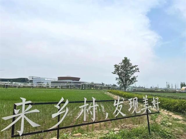 长兴岛|乡村之旅，品酒作画，有一见如故之欢笑，有不期而遇之美好