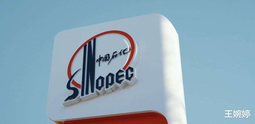 高校|中石化校园招聘，10所高校可直接免试，网友：为何有武大、华科？