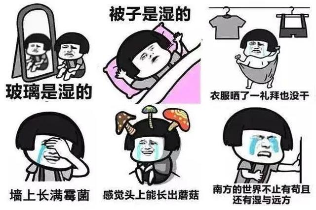 居家防霉建议:扔掉家里这4样东西,并非败家,而是为了健康
