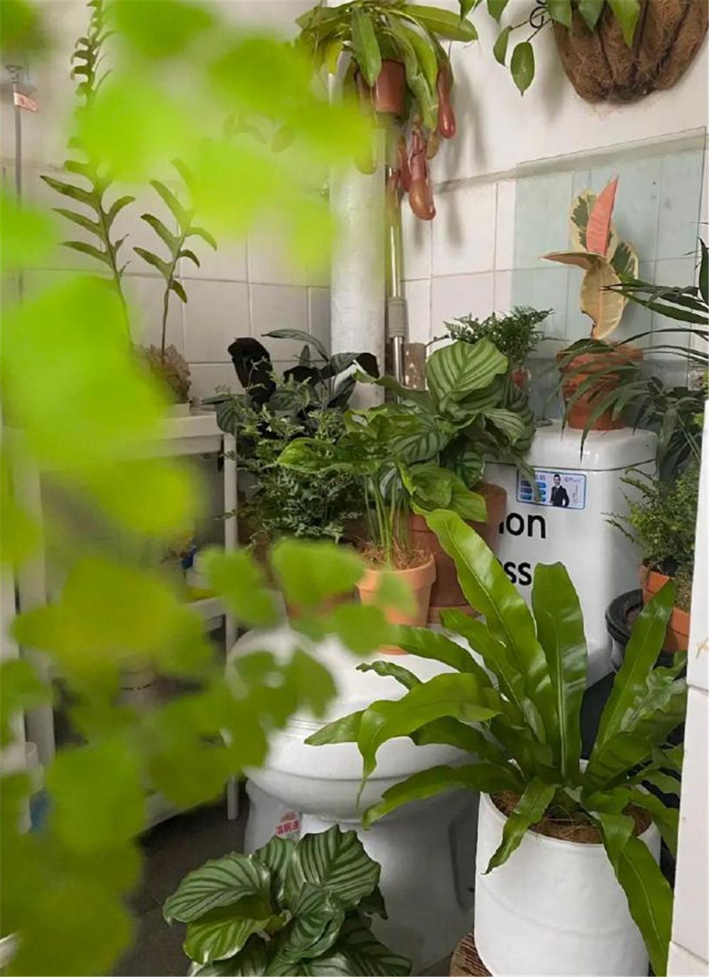 情侣在30㎡顶层老屋住6年，小家被打造得温馨又慵懒，太治愈了