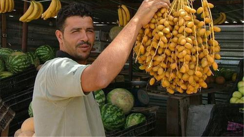 国内“没人理”水果，在迪拜却卖出天价，一斤1000元普通人吃不起