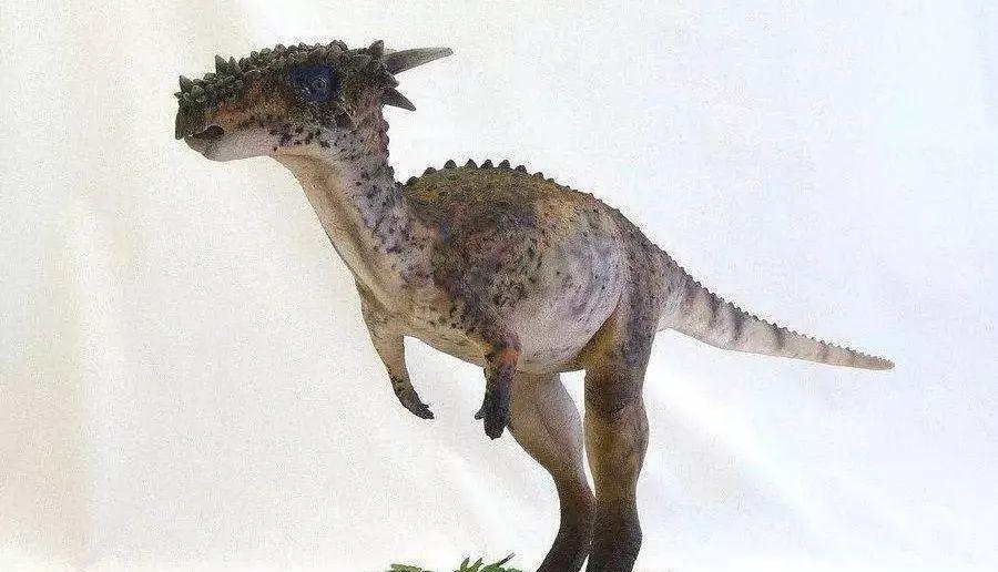 地球上8种真实存在过的神话生物。传说中的龙可能是这两种生物