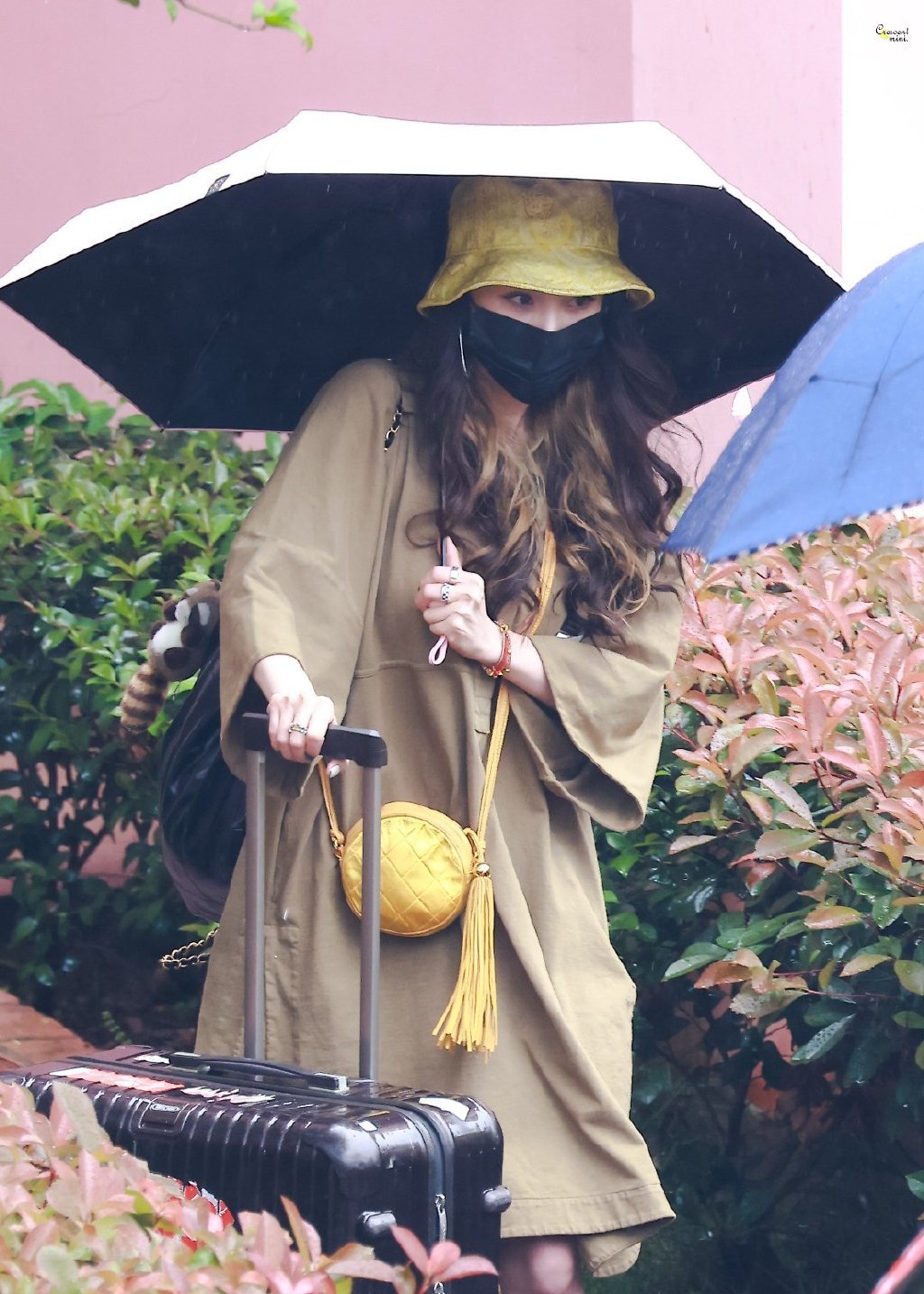 杨幂|杨幂《花少3》路透曝光！后面的赵今麦太显眼了，颜值对比有差距