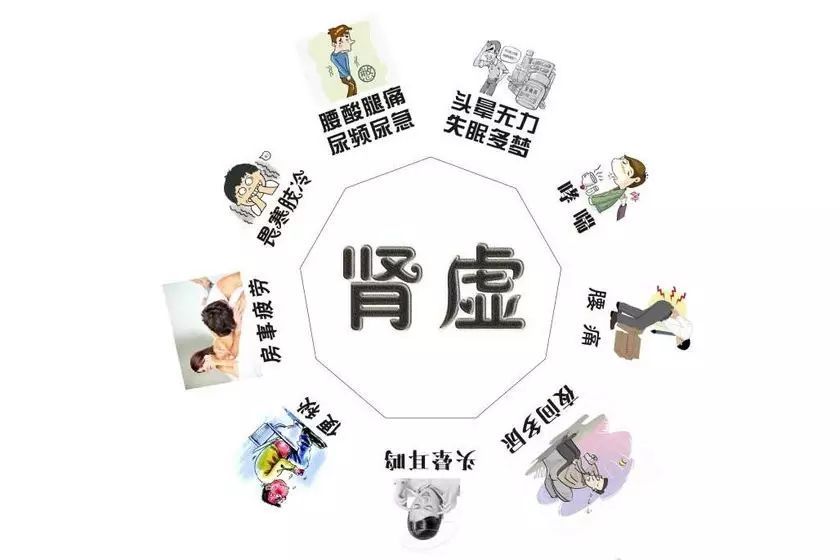 医生|肾虚到底是哪虚？肾精亏、肾气亏、肾阴虚、肾阳虚？一文教你辨明