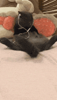 你是怎么看待骨灰撒海的？要被这届网友笑死了