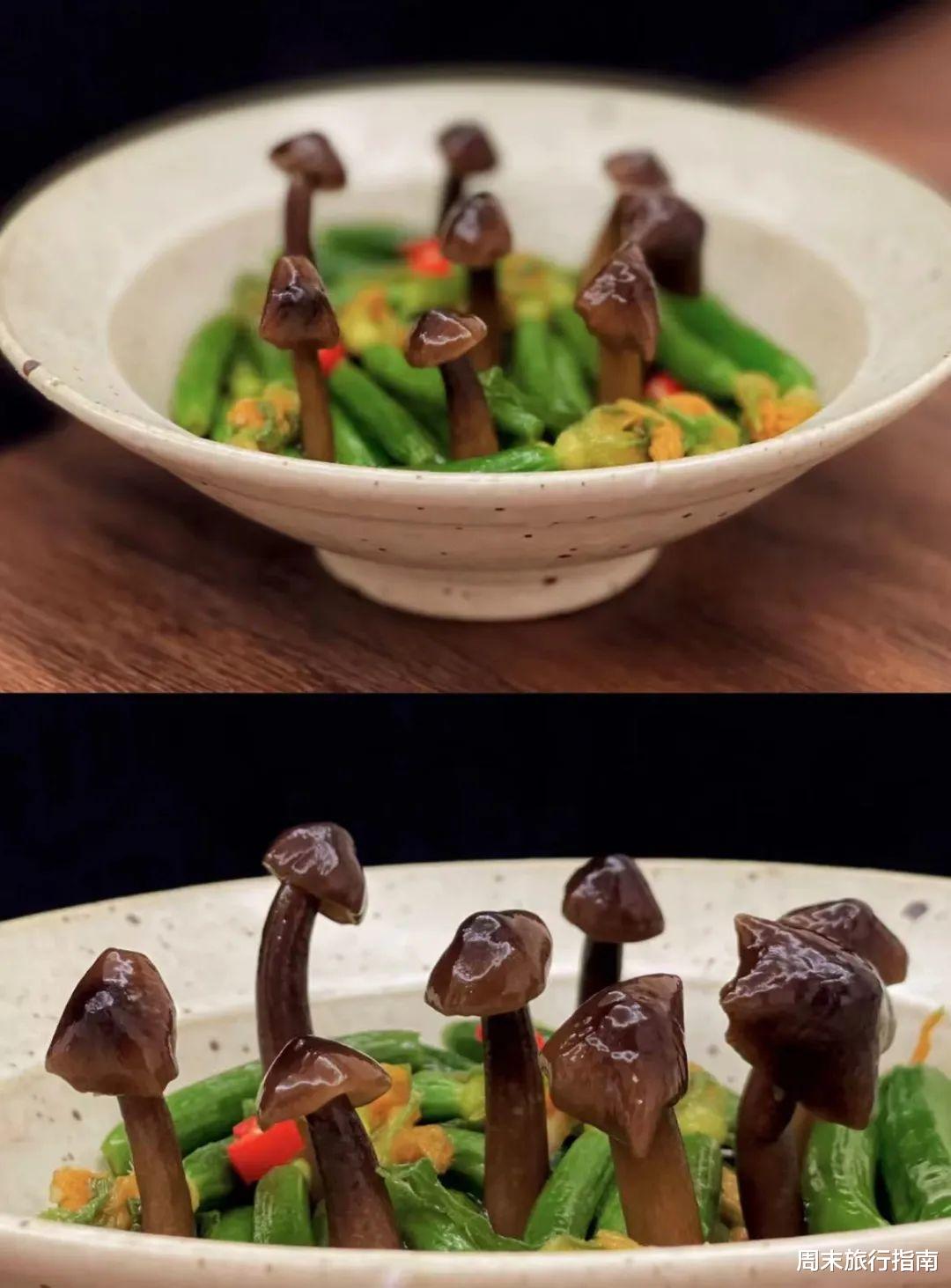 野生菌|刘亦菲新剧刷屏!均温20℃的神仙取景地,私藏“全国最毒”美味,吃过就上头!