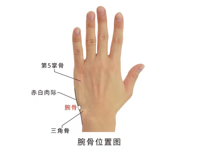 落枕|经络穴位,一日一学——腕骨,治落枕的特效穴