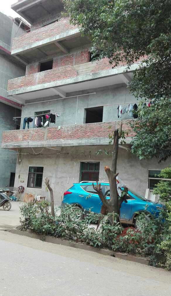 回农村盖四层别墅,村里人羡慕不已,可如今却成了全村的笑话!