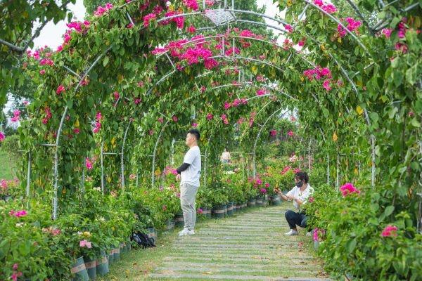三亚|露营、夜游、水陆空赏花……花博汇好多新玩