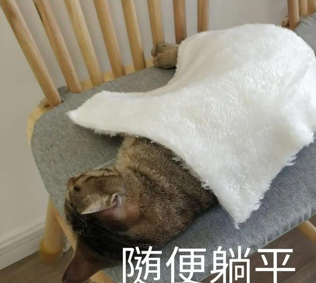 以为就业会回暖，却不想连工地人都满了，中铁HR直言：供不应求