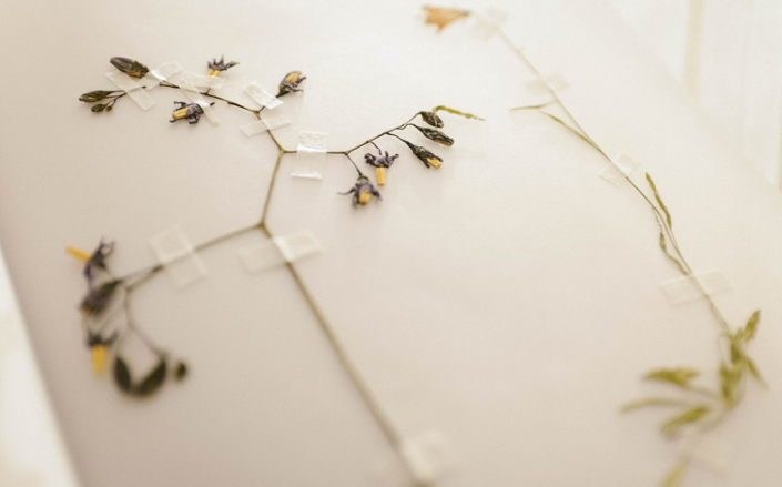 抑郁症|抑郁4年,自残、休学、偷偷服药,我是如何活下来的