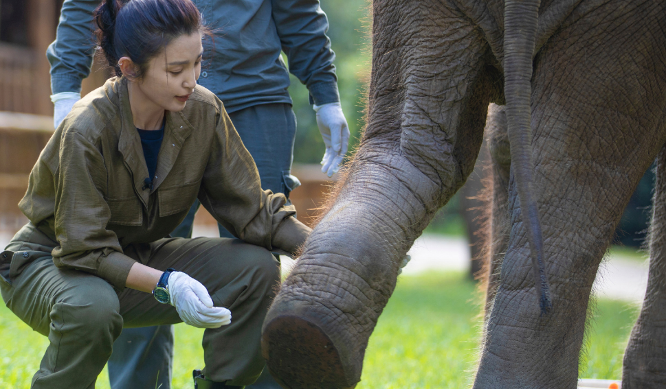 中国电影金鸡奖|49岁李冰冰罕走性感风!穿黑丝躺沙发秀美腿,戴超大金项链好霸气